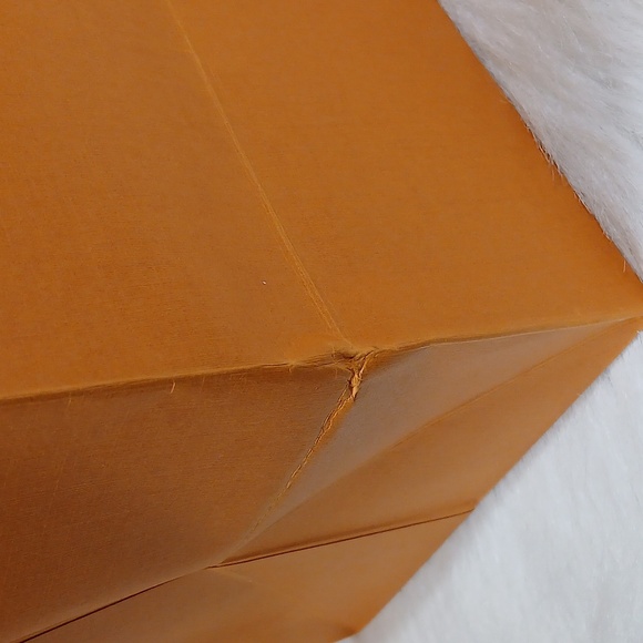 Louis Vuitton Orange Bag and Box Unisex - Picture 3 of 15